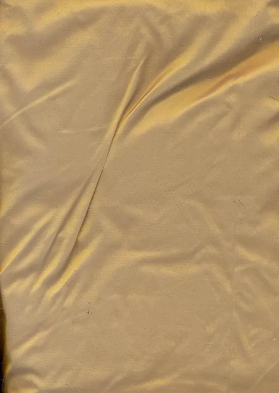 100% silk taffeta fabric dark gold dust color 54" wide TAF17